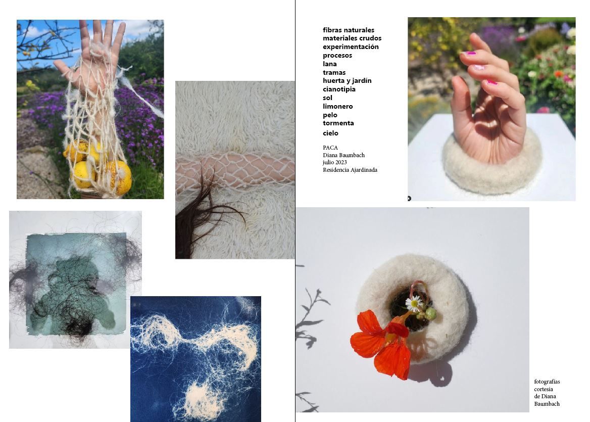 imágenes de obras y procesos creativos de la artista Diana Baumbach durante la residencia en PACA.