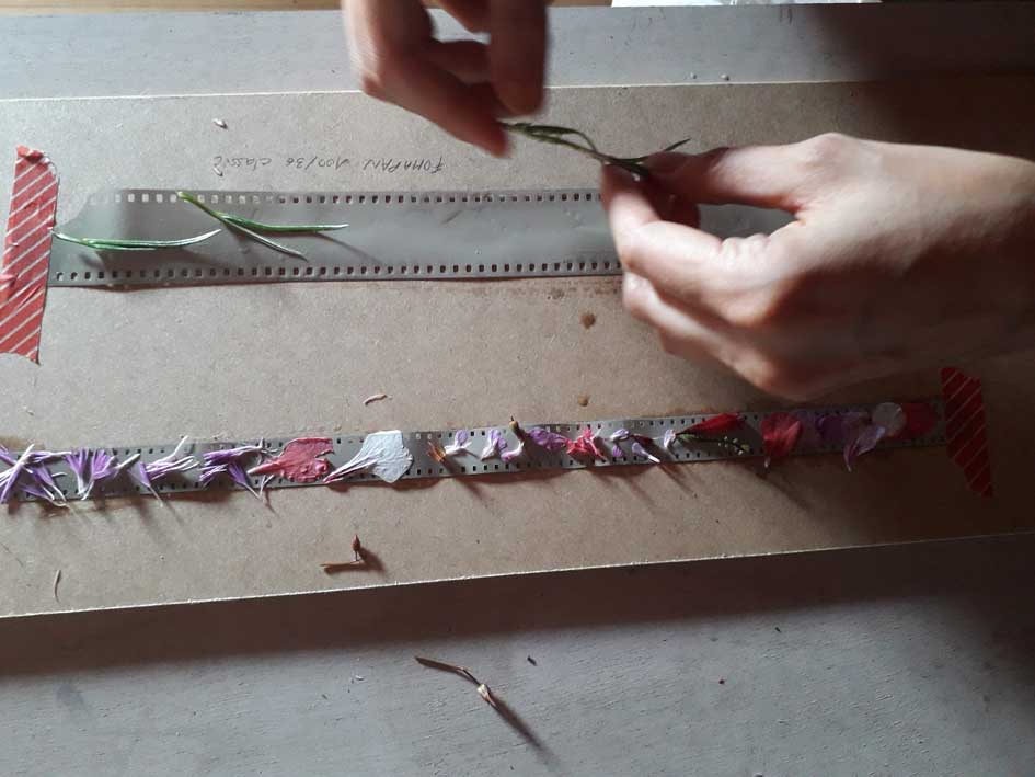 proceso de trabajo de Monica Montes con la técnica del lumenprint