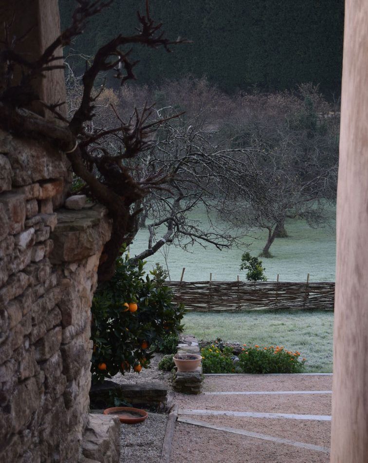 jardin en invierno