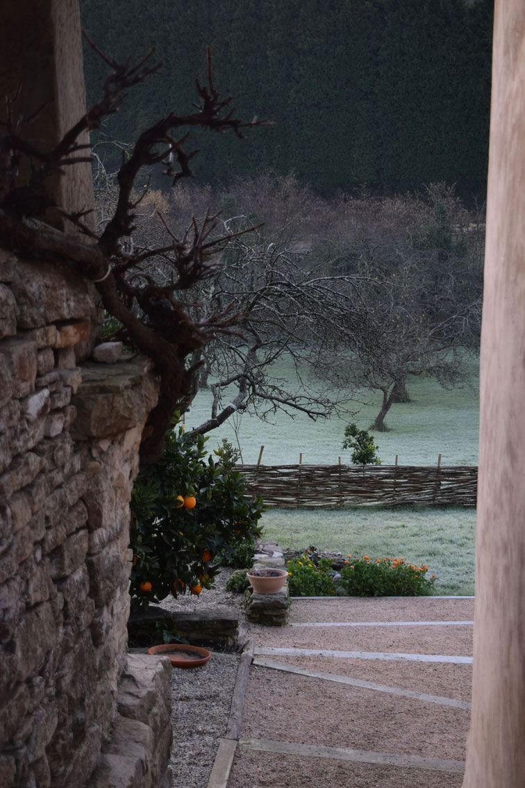 jardin en invierno