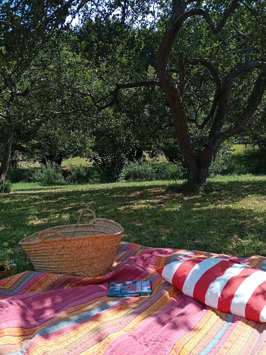 jardin de PACA. bajo la sombra de los manzanos. aplle orchard, asturias