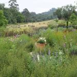 PACA GARDEN IN JUNE.